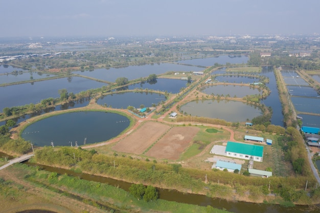 Aerial view from flying drone of Fish pond, fish farm