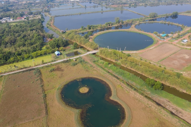 Aerial view from flying drone of Fish pond, fish farm
