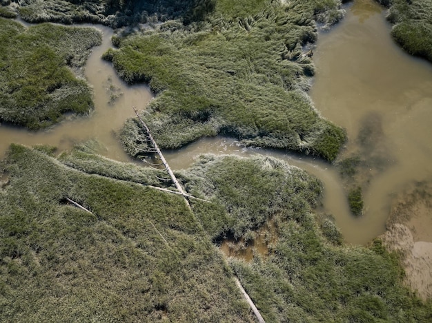 Aerial view from above of a swampy river in Squamish