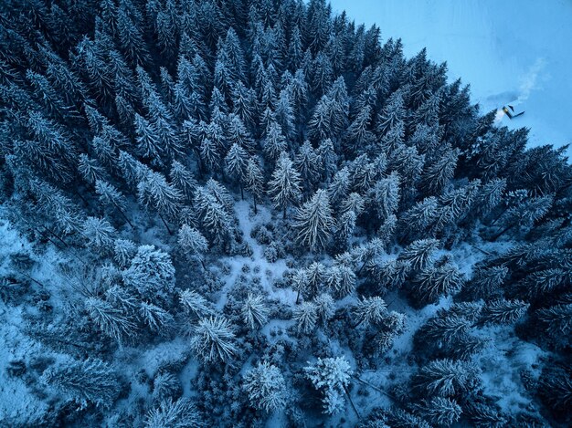 雪に覆われた冬の森の上からの空中写真モミの木の森の上面図松林の端にある窓から暖かく輝く光のある孤独な隠者の家煙突からの煙孤独の概念