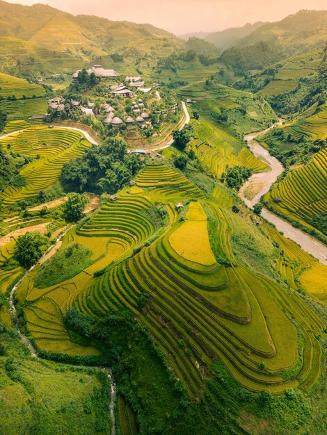 Aerial view of golden rice terraces at mu cang chai town near sapa city north of vietnam beautiful terraced rice field in harvest season in yen bai vietnam