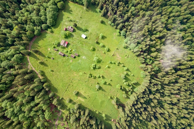 Aerial view of green Carpathian mountains covered with evergreen spruce pine foreston summer sunny day.