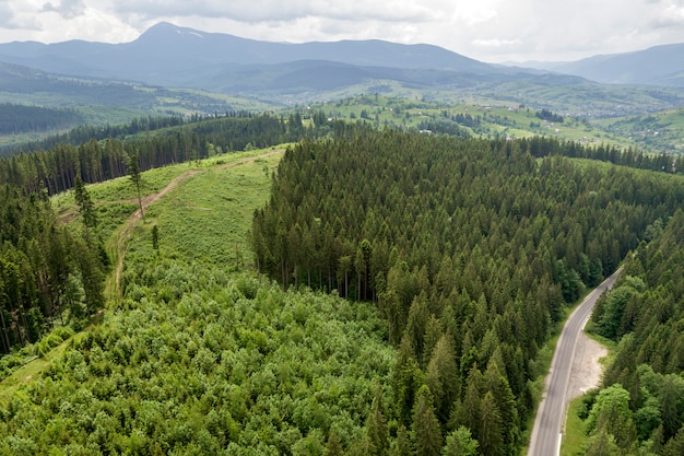 Aerial view of green Carpathian mountains covered with evergreen spruce pine foreston summer sunny day.