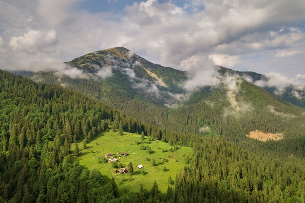 Aerial view of green Carpathian mountains covered with evergreen spruce pine foreston summer sunny day.