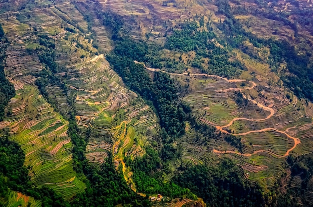 Aerial view of green and colorful rice fields and terraces