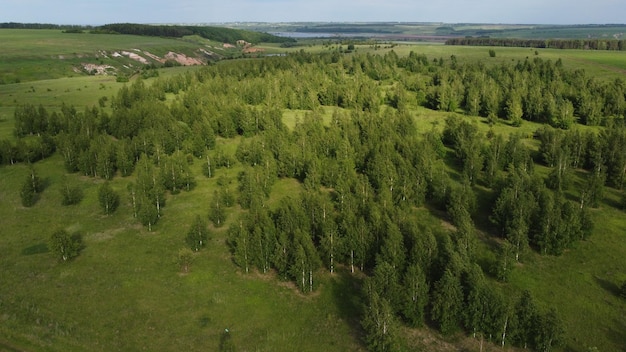 Aerial view of green fields and trees