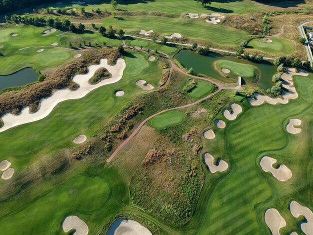 Aerial view of the green grass of the golf course. top\
view.