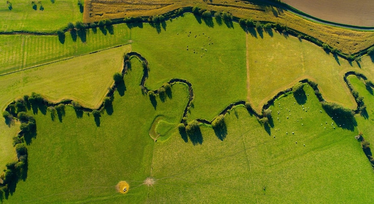 Photo aerial view of green landscape