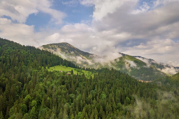 Aerial view of green mountains covered with pine forest.