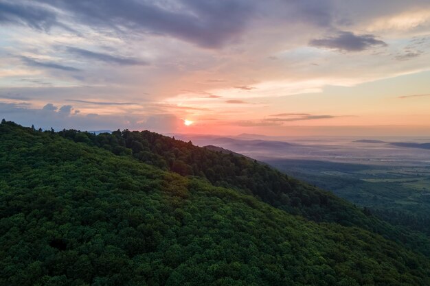 夕焼けの山の丘を覆う暗いトウヒの木と緑の松林の空撮北の森の風景を上から