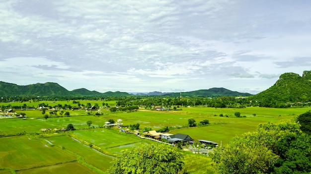 タイの緑の田んぼテラスの空撮、山と緑の水田の美しい風景