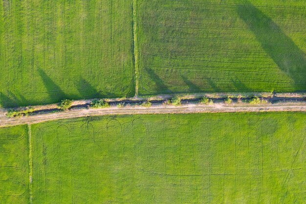 Aerial view of Green rice paddy field farming cultivation in agricultural area at countryside