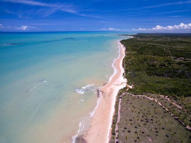 Aerial view Green sea at a brazilian beach coast on a sunny day in Barra do Cahy,