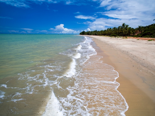 Vista aerea del mare verde in una spiaggia brasiliana costa in una giornata di sole in cumuruxatiba,