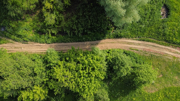 Вид с воздуха на зеленую летнюю лесную дорогу сверху