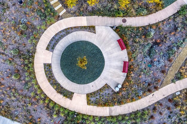 Foto veduta aerea di alberi e piante verdi foto