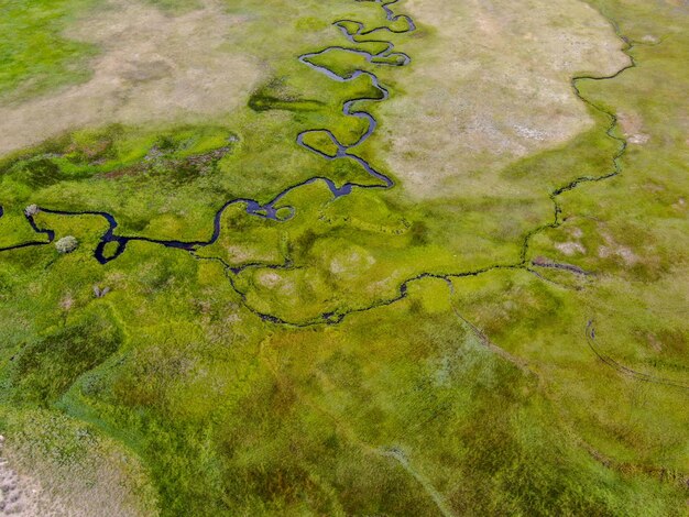 Вид с воздуха на зеленую долину с небольшой кривой рекой в округе Аспен-Спрингс-Моно, США