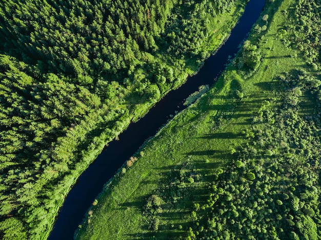 Aerial view of green woods with blue curved river Beautiful summer landscape