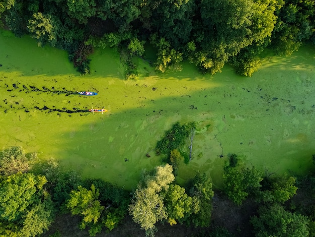 Aerial view of a group of kayaks traveling on a forest river on a summer day