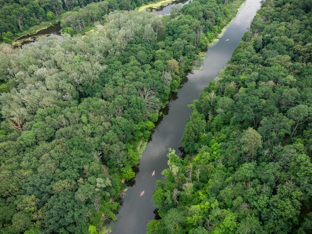 Aerial view of a group of kayaks traveling on a forest river on a summer day
