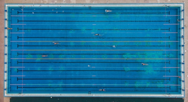 Aerial view of group of swimmers training in swimming pool Many sportive people swim in Open Water Swimming pool