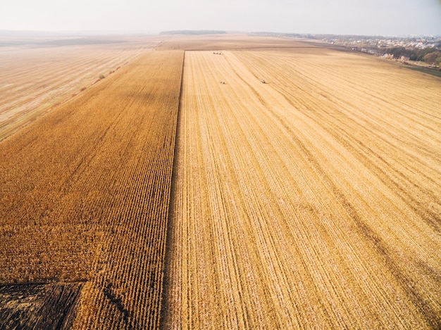 Aerial View of Harvesting Corn in the Golden Big Field