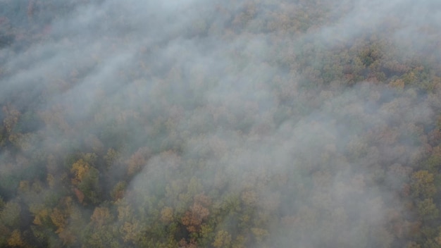 Aerial view high above the forest where the fog flies Fog clouds fly low over the autumn forest