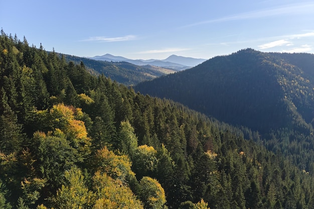 Вид с воздуха на склон холма с темными еловыми лесными деревьями в осенний яркий день Красивые пейзажи дикого горного леса