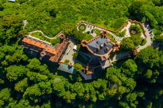 Hohenschwangau 성 Schwangau, 바바리아, 독일에 공중보기. 나무와 풍경의 무인 비행기 그림입니다.