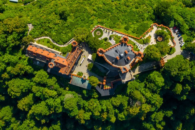 Vista aerea sul castello schwangau, baviera, germania di hohenschwangau. drone foto di paesaggio con alberi.