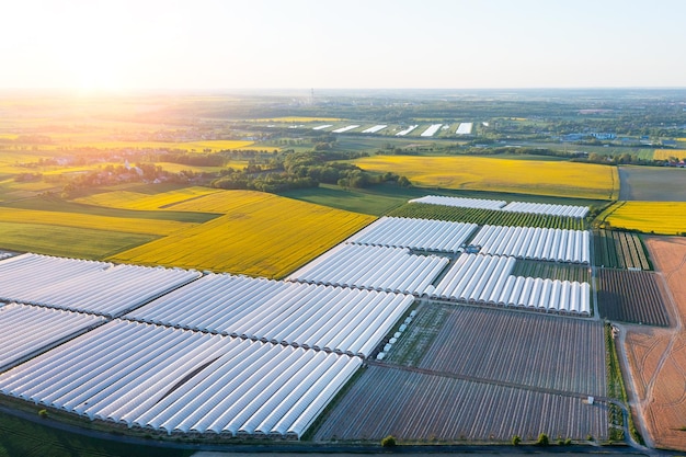 Aerial view of huge greenhouse fields agriculture growing vegetables in greenhouses