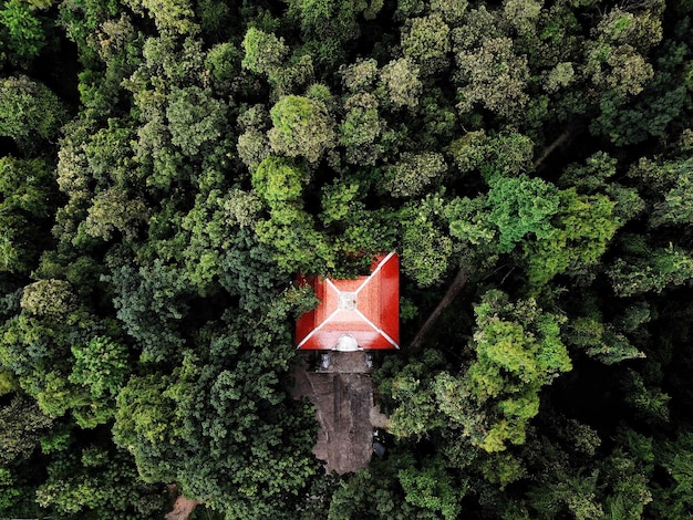 Aerial view of hut in forest