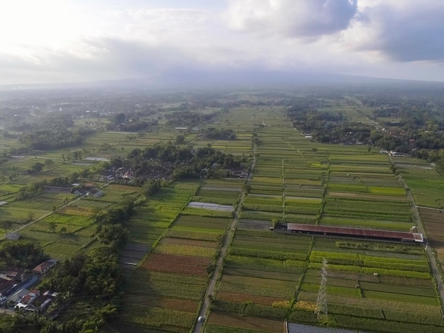 インドネシアの伝統的な村と田んぼの空撮