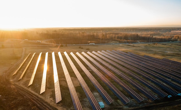 Aerial view of industrial sized solar panel farm during sunset illustrating the blend of technology and nature