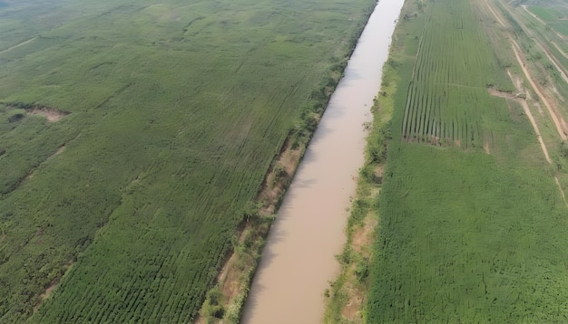 Aerial view of an irrigation canal that cuts through rural farmland Top view of eucalyptus forest