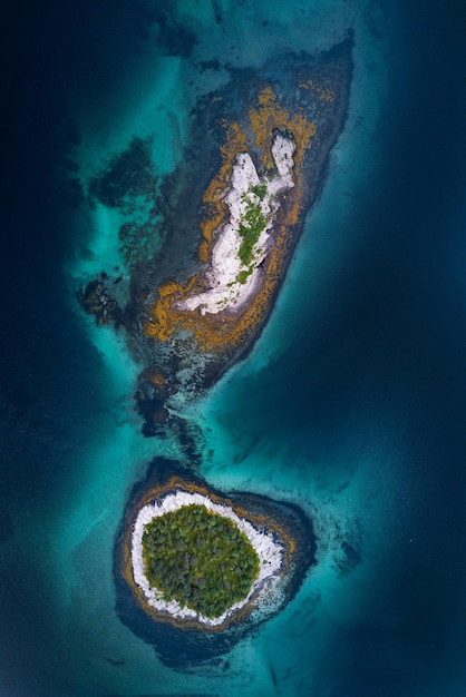 aerial view of island in sea