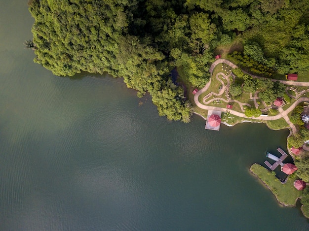 湖面與樹木的空中景色