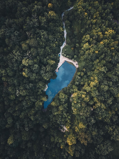 Photo aerial view of lake amidst trees in forest