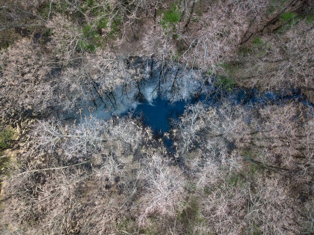 Вид с воздуха на озеро в лесу в начале весны, отражение неба в поверхности воды