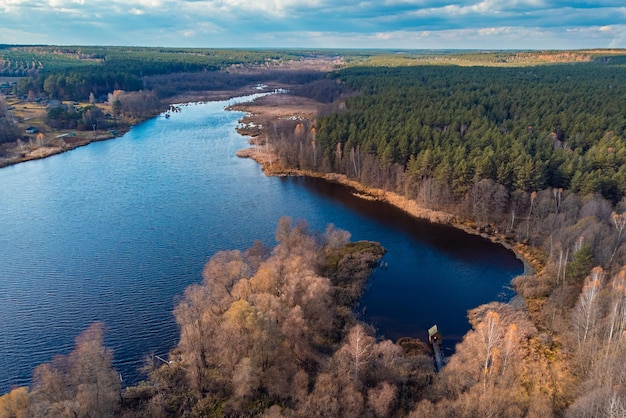 Aerial view of lake near small village and pine forest