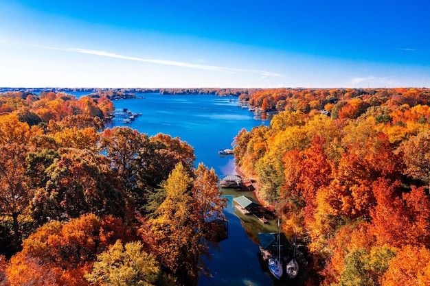 Aerial view of Lake Norman surrounded by orange trees under the blue sky on an autumn day