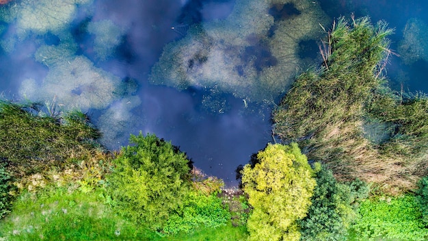 Aerial view of lake shore Green shoreline