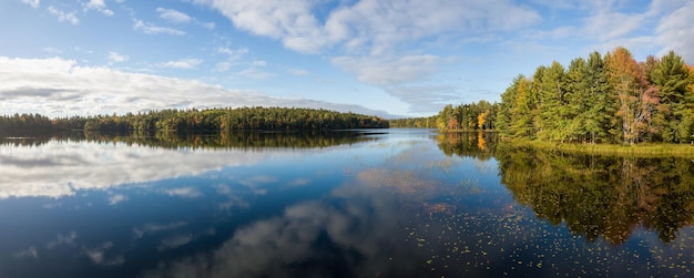 Aerial view of a lake during a sunny autumn day Colorful Foliage Nature Background