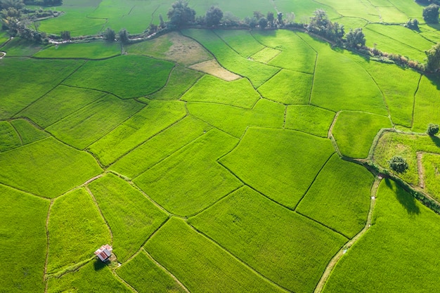 Aerial view landscape of Farm land fild in rural village mountains of asia with mist fog during morning time.