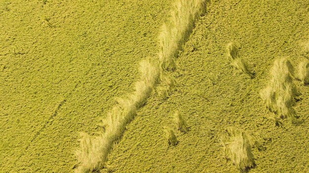 Photo aerial view landscape of mountain in krabi thailand