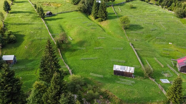 Aerial view landscape in nature, forest and hill