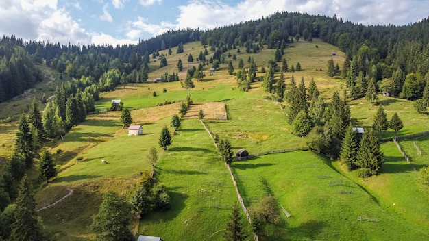 Aerial view landscape in nature, forest and hill