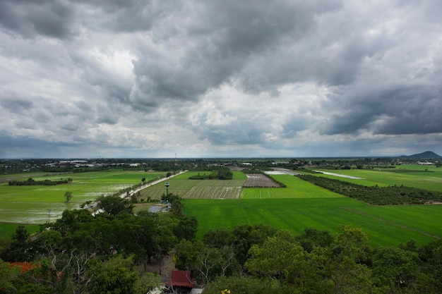 Пейзаж с видом с воздуха и рисовое поле или рисовые поля с точки зрения храма Ват Кхао Нанг Буат или Пхра Ачан Таммачот для тайского туристического визита в Доем Банг Нанг Буат в Супхан Бури, Таиланд