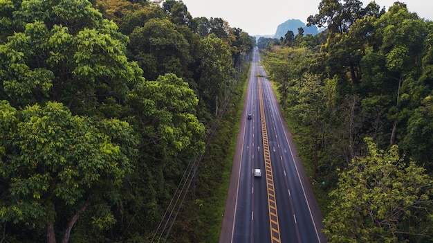 aerial view landscape of  Tree or forest 