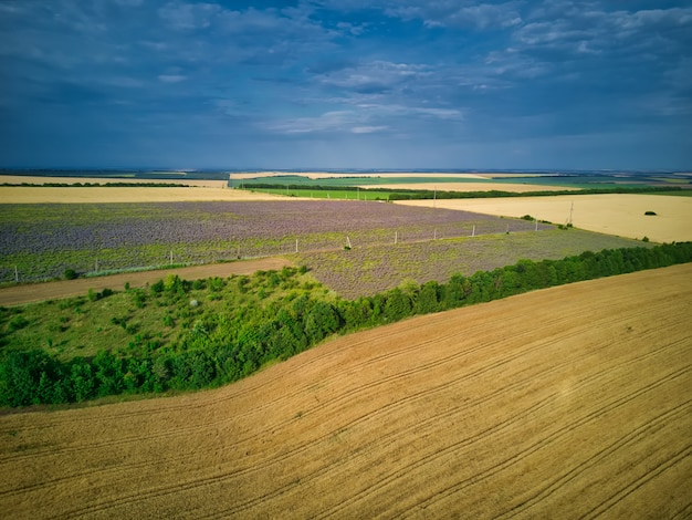 Aerial view of a landscape with lavender field